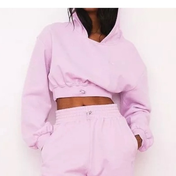 FOR LOVE & LEMONS for Victorias Secret Josie Cropped Hoodie Light Purple Size S - Picture 1 of 9